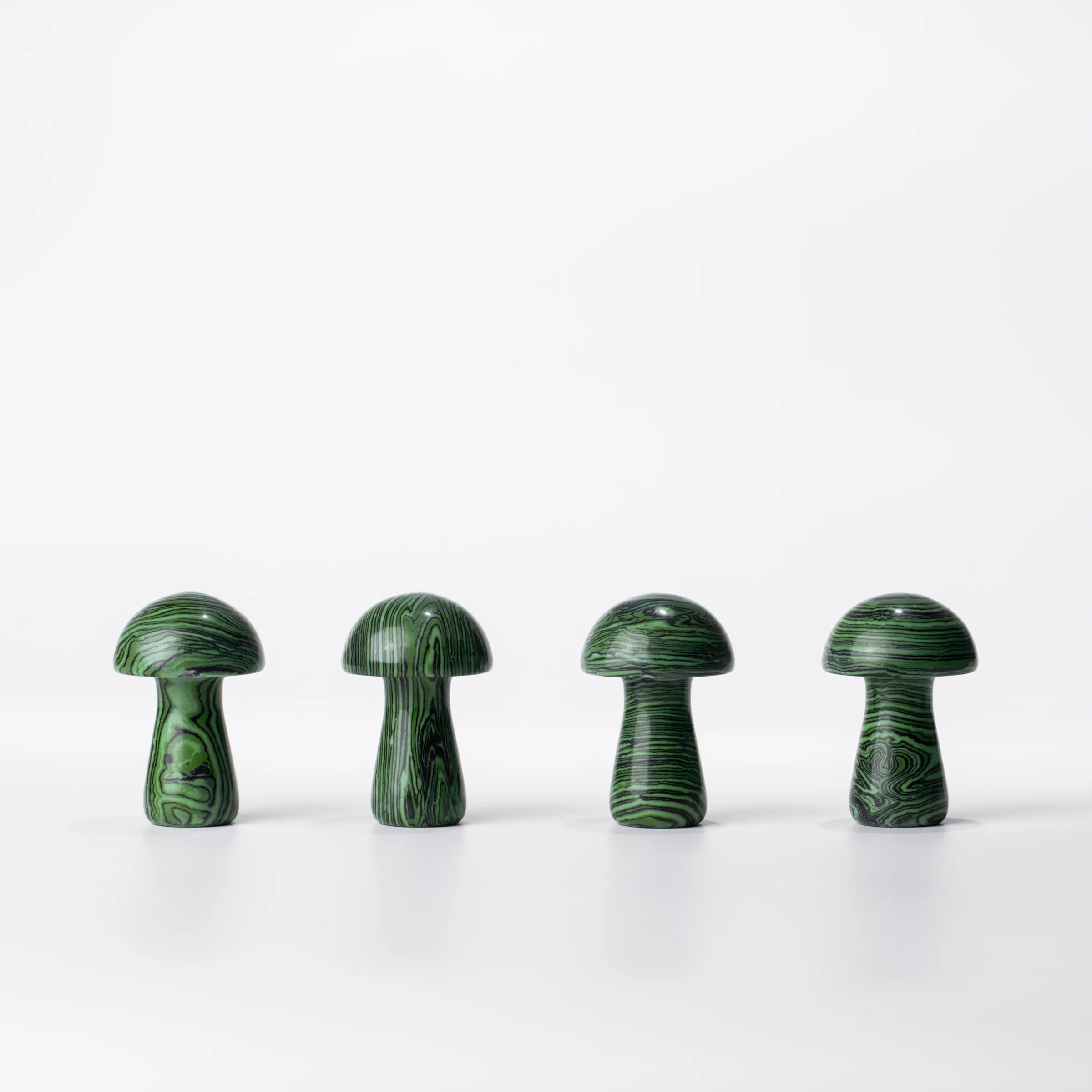 mushroom 4 WEB