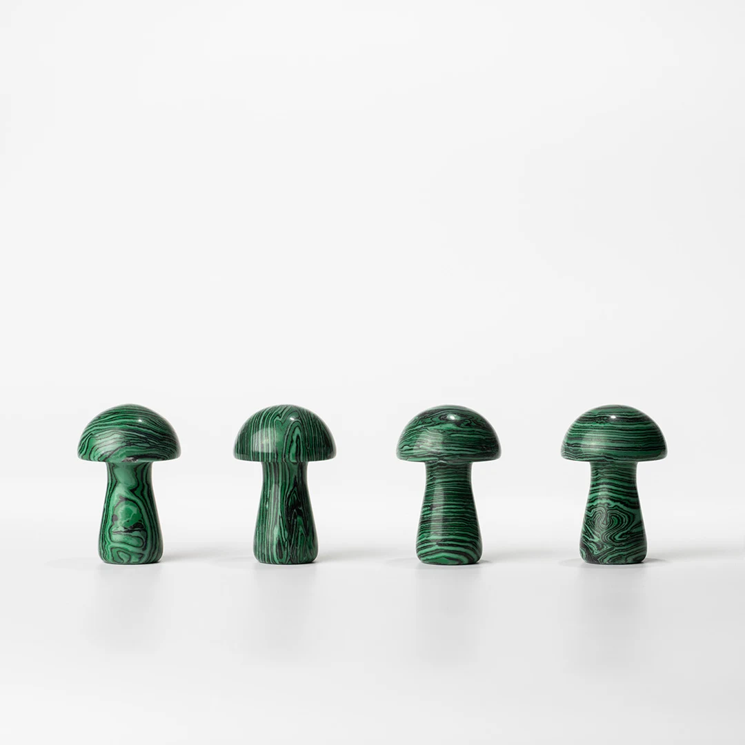 mushroom 4(realgreen)WEB