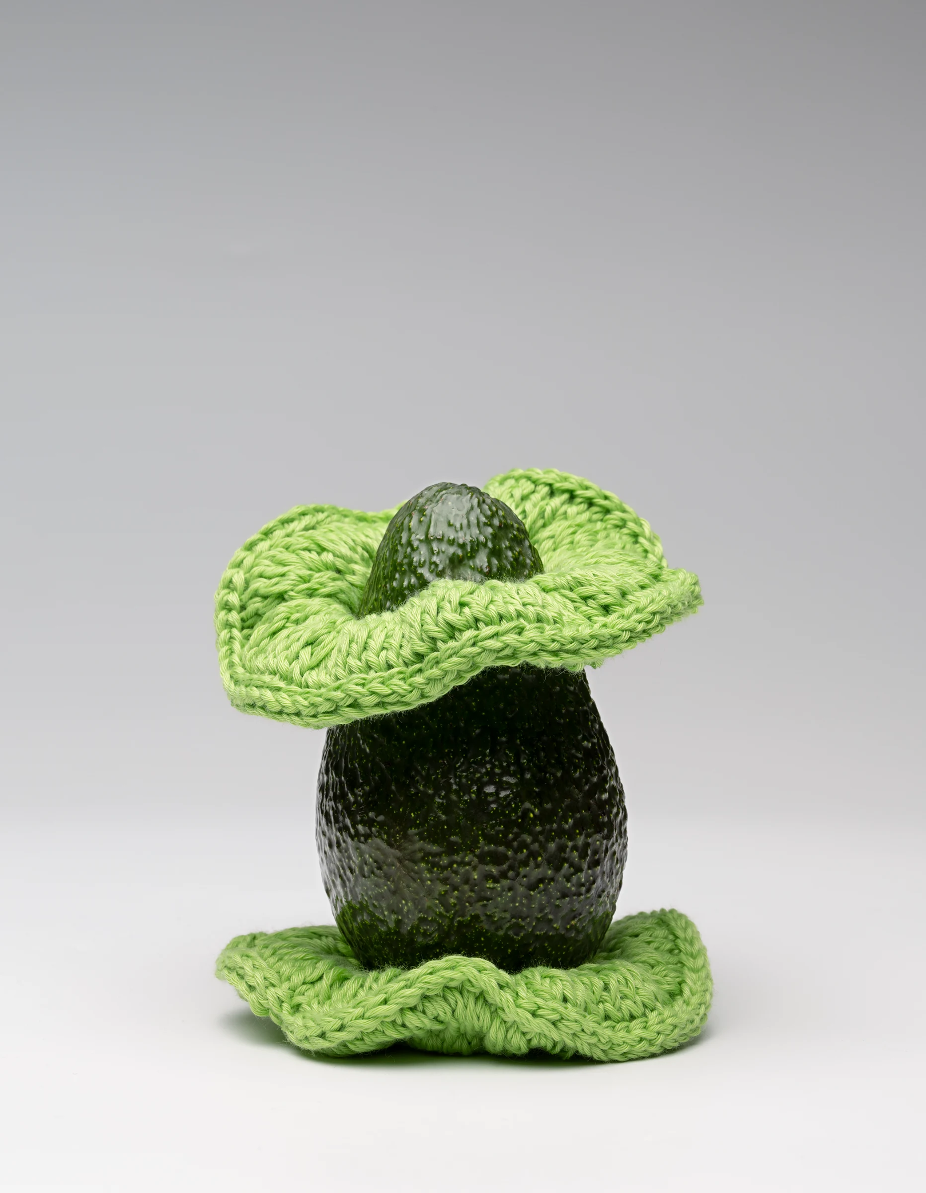 avocado 2 WEB